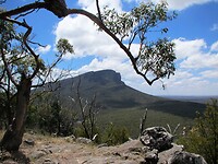 Tijdens de wandeling "Picaninny Walk" vlak buiten Dunkeld hebben wij zicht op Mount Abrupt.