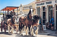 Paardenkoets in Ballarat.