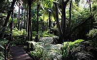 Botanische Tuin in Melbourne.