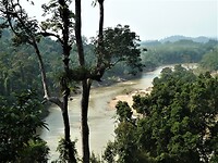 De "Tembeling River" bij Kuala Tahan in Taman Negara NP.