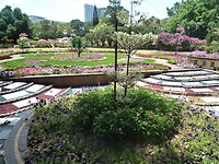 De botanische tuin rondom het paleis van de Sultan.