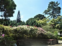 De botanische tuin rondom het paleis van de Sultan.