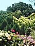 De botanische tuin rondom het paleis van de Sultan.