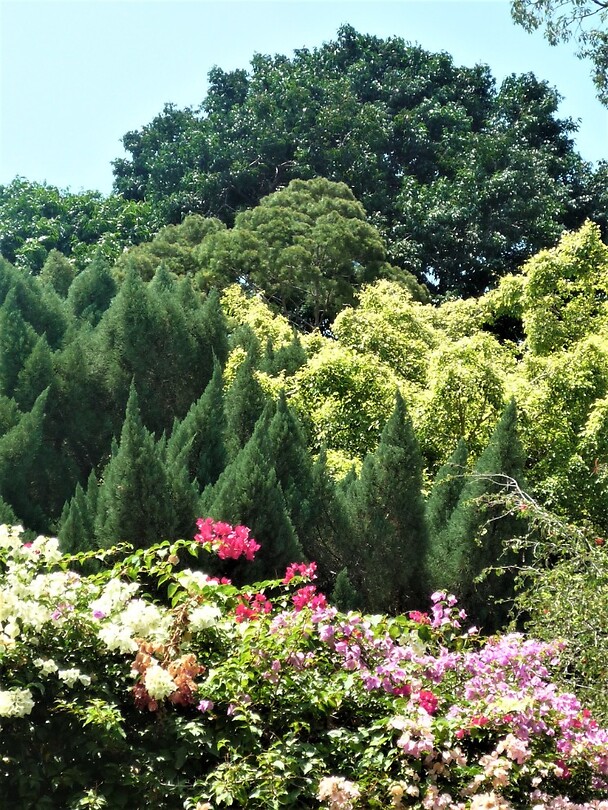 De botanische tuin rondom het paleis van de Sultan.