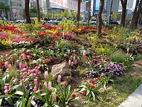 IMG20260414085857