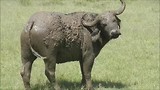 Kenia: eerste impressie