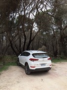 Boyd National Park