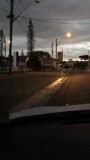 Yamba - Kangoeroes