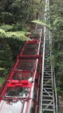 Blue Mountains