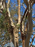 IMG_1971