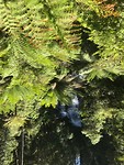 IMG_6255