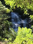 IMG_1984