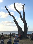 IMG_6321