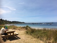 IMG_2085