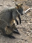 IMG_6432