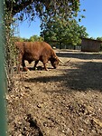 Dierenpark naast de camping
