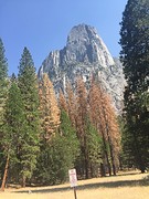 Een van de toppen in Yosemite