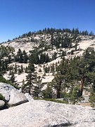 Olmsted Point