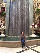 The Venetian