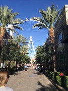 The High Roller