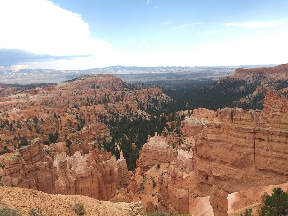 Hoodoo's