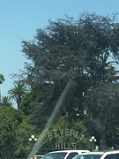 Beverly Hills