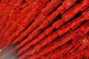 01. Chinees rood_klein