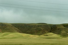 IMG_2822