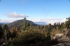 Nice vieuw