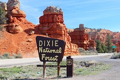 Red Canyon at Dixie National Forest