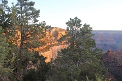 IMG_3439