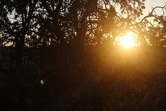 IMG_3447