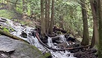 IMG_4187