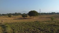 Thazi
