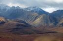 Denali N.P.