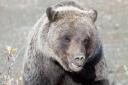 Close up