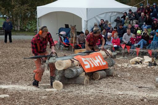 Lumberjacks in actie