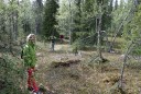 Wandeling in Urho Kekkonen Nationaal Park