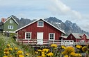 Rorbuer bij Henningsvaer