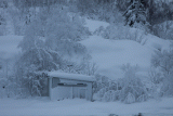 Witte Wereld