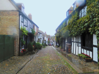 Rye