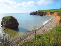 Ladram Bay