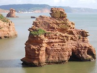 Ladram Bay