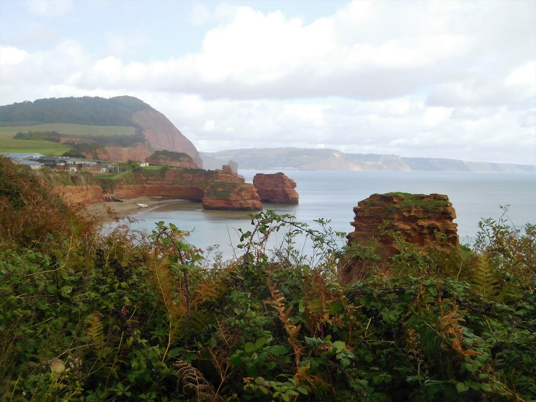 Ladram Bay
