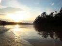 DSC01975 Kinabatangan rivier-550