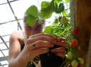 DSC02182 Aardbeien-550