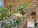 DSC02234-550