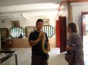 DSC02236-550