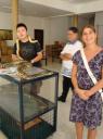 DSC02238-550