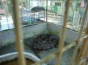 DSC02241-550